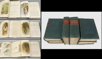 INDIA natural history BIRDS 1921-1929 six volumes Journal Bombay colour plates - Image 1 of 4