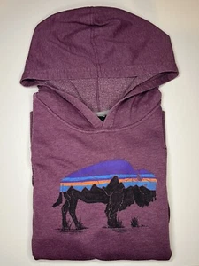 Kids Patagonia Jumper XL Purple Graphic Logo Outdoors Hoodie Pullover 63025 - Picture 1 of 9