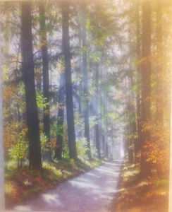 Original Gemälde " Waldweg " ,Öl ,Acryl, Leinwand ,Seifried - Bild 1 von 1