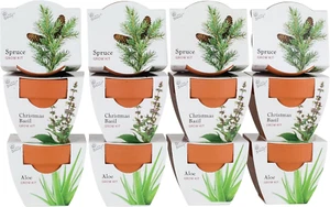 Seeds Terracotta Mini Grow Pots | Herb, Plant, Flower Starter Kit for Kids & Adu - Picture 1 of 6