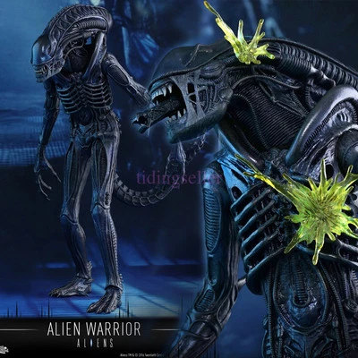 Hot Toys 1/6 Aliens MMS354 -Alien Warrior 30 aniversario de Aliens EN STOCK Foto 1 de 4