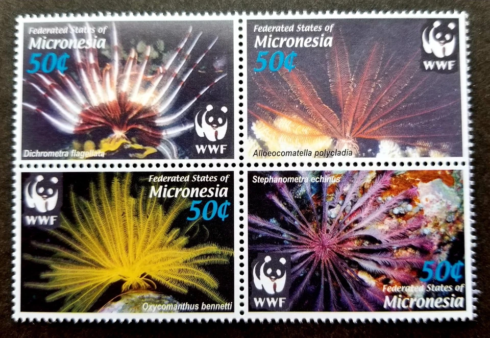[SJ] Micronesia WWF Feather Stars 2005 Marine Life Coral Reef (stamp) MNH - Image 1 of 4