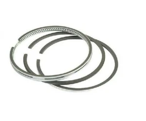Nuevos anillos STD se adaptan a Kubota ZD21 para 1 pistón - Imagen 1 de 1
