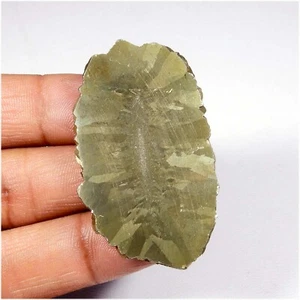 Natural Golden Pyrite Slice Cabochon Loose Geode Gemstone 51 Cts #8273 - Picture 1 of 7