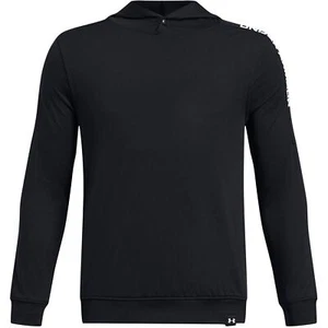 Under Armour Boys Playoff Hoodie Hooded Top Pullover Jumper Sweaters Lightweight - Picture 1 of 5