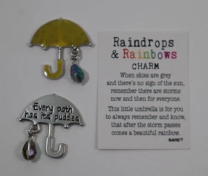 CC2 Every path has its puddle RAINDROPS & RAINBOWS Pocket charm figurine Ganz - Picture 1 of 5
