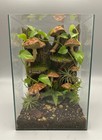 Baum Steinwand   Rückwand | Dekoration - Aquarium und Terrarium