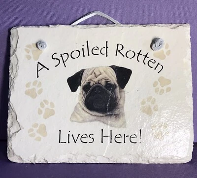 Pug Slate Sign A Spoiled Rotten Pug Lives Here Slate Wall Decor Pet Plaque Gifts - Image 1 of 4