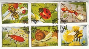 Bugs, Insects, Invertebrates, SHARJAH - 1972 Airmail - Mint Hinged CTO - Picture 1 of 1