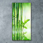 Tulup Glass Print Wall Art 60x120 - Bamboo in water