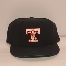 Vtg Toledo Mud Hens Hat Cap Fitted 7 3/8 MILB Minor Baseball New Era Made USA