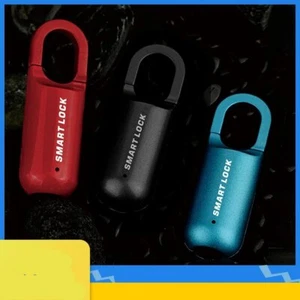 Mini Candado de Huellas Dactilares Inteligente Táctil Huella Dactilar Cerradura de Puerta USB Sin Llave Anti T... - Imagen 1 de 10