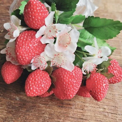 24 x Erdbeeren Erdbeerblätter Blüten Fake Deko Strauch Kunstobst Obst Dekoobst - Bild 1 von 4