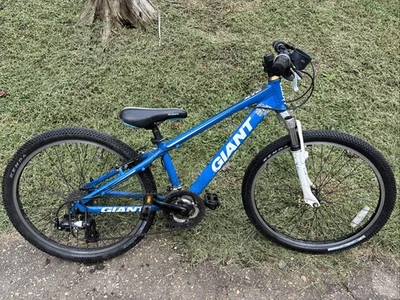 Bicicleta gigante azul de 24 pulgadas para niños niños niñas - Los frenos son decentes Foto 1 de 4