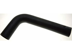 Upper - Pipe To Radiator Radiator Hose For 1981-1989 Ford LN9000 1984 JP629YB - Picture 1 of 1