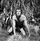 Tarzan - Season 1 1966 With Ron Ely 28 Old Tv Photo