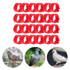 Mipcase 100 szt opaski na nogi ptaków - czerwone