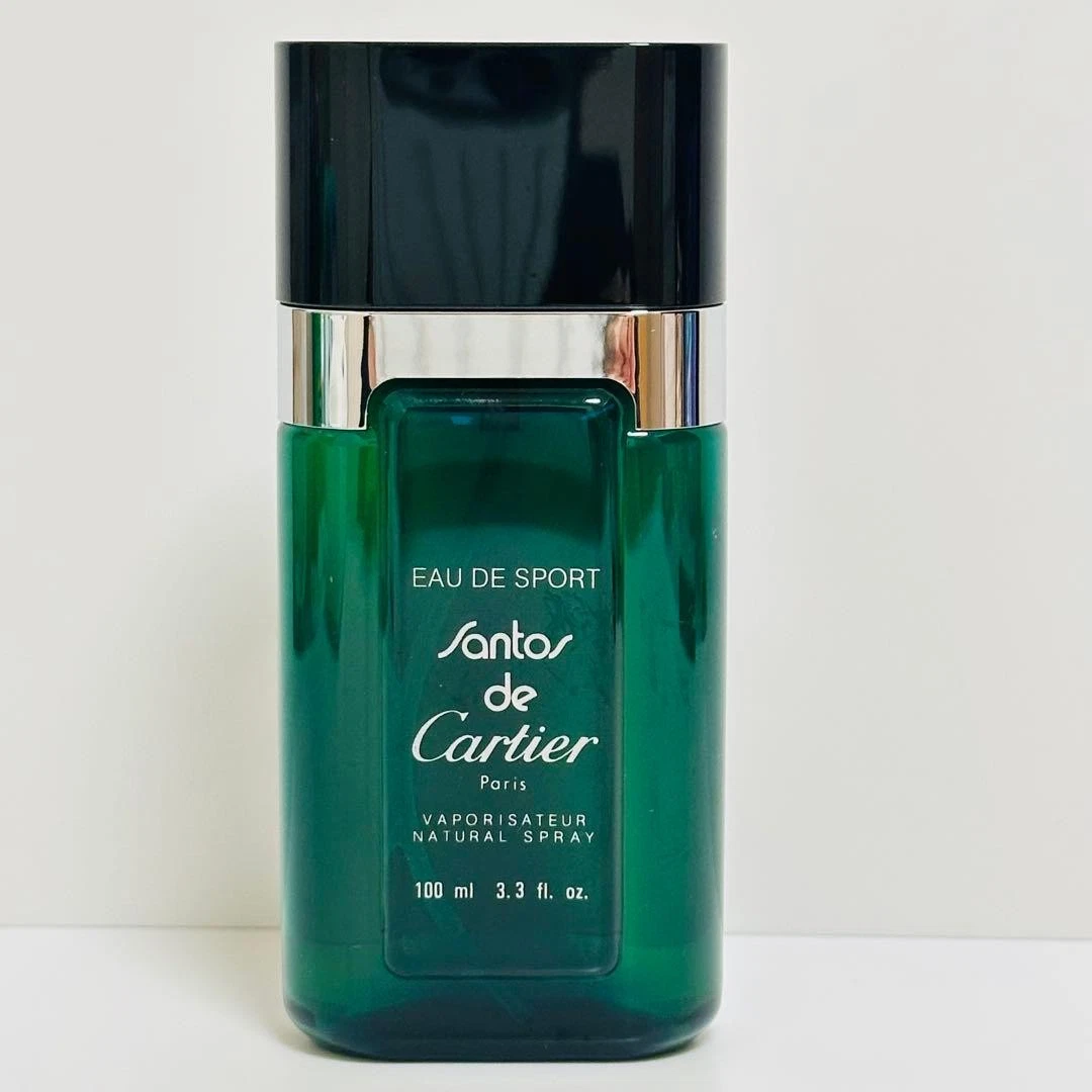 Cartier Men Santos de Cartier for sale - eBay