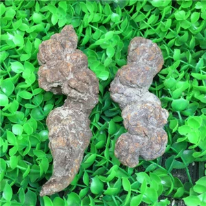 366g FOSSIL DINOSAUR POOP Specimen Madagascar X666 - Picture 1 of 7