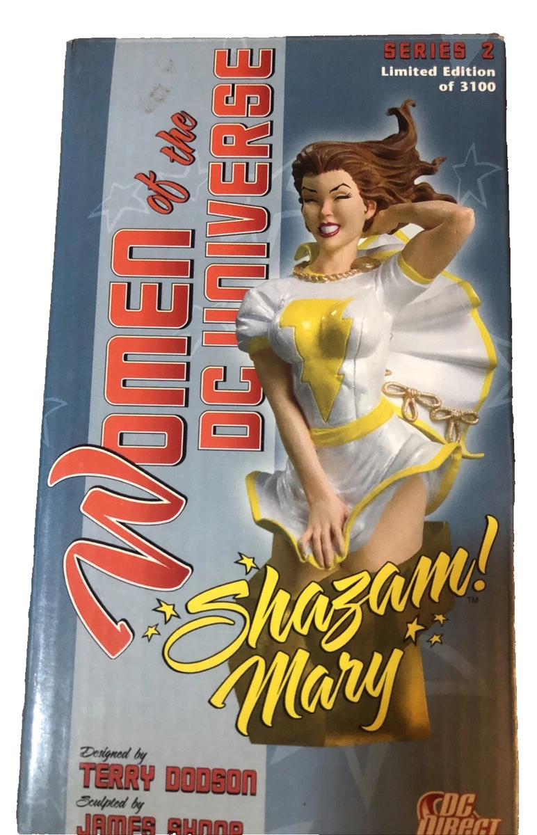 WOMEN of the DC UNIVERSE メアリー・シャザム WOMEN OF THE DC UNIVERSE SHAZAM MARY MARVEL BUST 322/3100 #BB | eBay