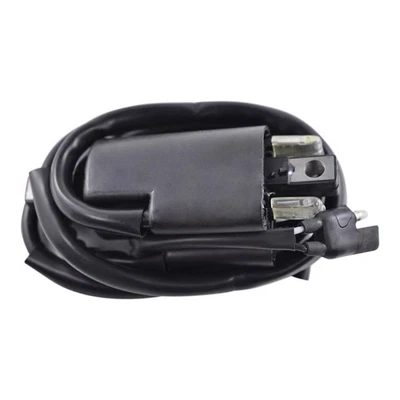 External Ignition Coil For Ski-Doo Nordik 50 / 60 Carb F/C 1988 1989 1990 1991 — 第 1/4 张图片