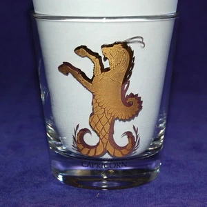 Vidrio de barra doble signo del zodiaco de Capricornio vintage antiguo - Imagen 1 de 2