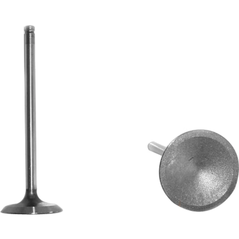 Válvula de escape EV332 DNJ para Chevy Olds Pontiac Sunfire Chevrolet Cavalier Alero Foto 1 de 1