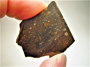 GREAT DEAL! FANTASTIC CHONDRULES! FABULOUS NWA 13758 R3 METEORITE! 29.7 GMS - Picture 1 of 9