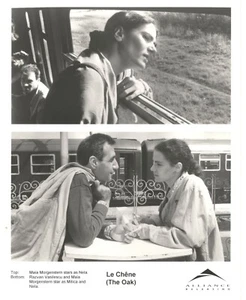 Maia Morgenstern & Razvan Vasilescu-Movie The Oak (Balanta) 10" x 8" Black & Whi - Foto 1 di 1