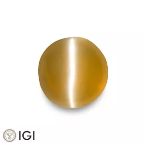 IGI Certified CEYLON Chrysoberyl Cat's Eye 1.72 Ct. Natural Untreated HONEY Oval - Picture 1 of 8