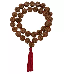 Kartikey Kantha /6 Mukhi Rudraksha Kantha/Six Face Rudraksha Kantha (36+1 Perlen) - Bild 1 von 3