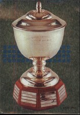 1992-93 Panini Stickers #306 Norris Trophy