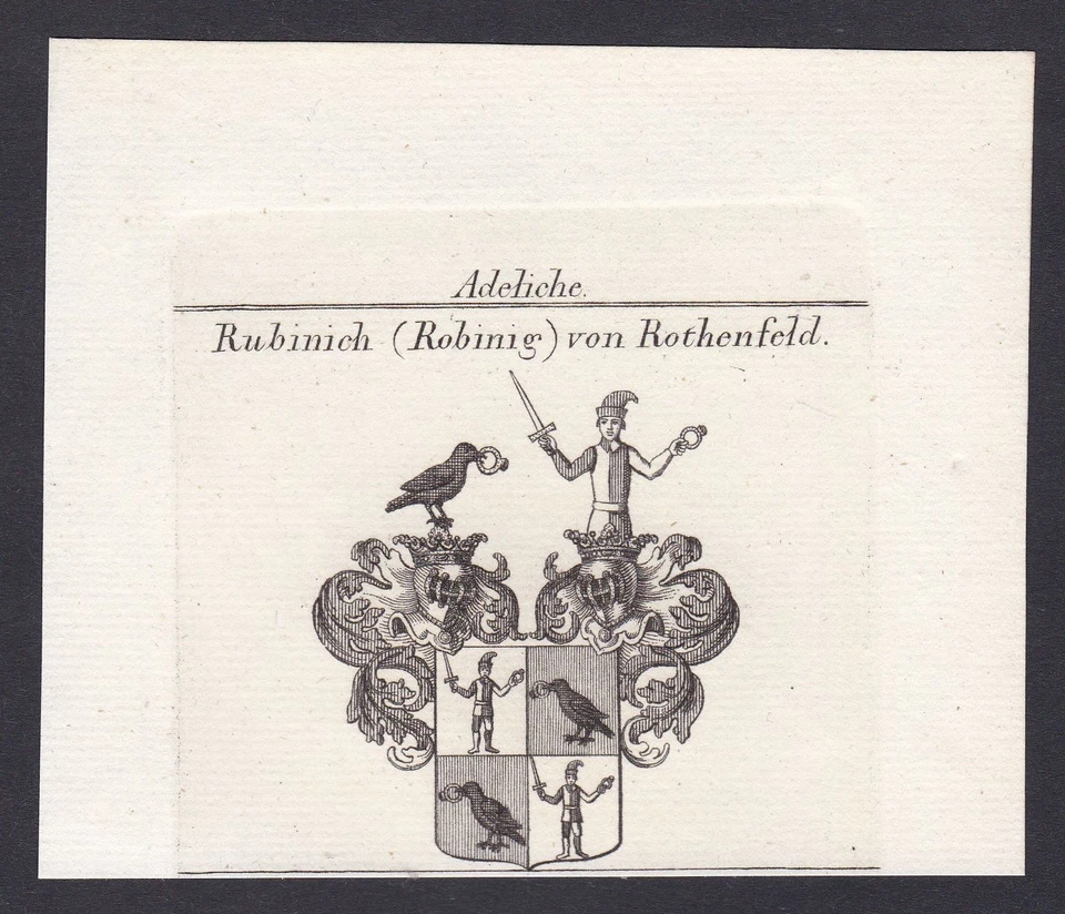 1820 Robinig Rothenfeld Wappen Adel coat of arms Kupferstich antique print - Bild 1 von 1