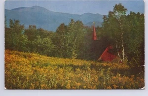 Pastoral Scene In The Mountain Region Of New England, Vintage 1956 Postcard - Picture 1 of 2