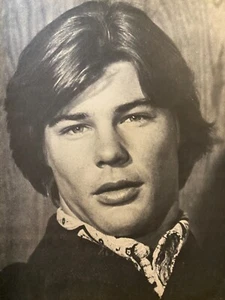 Pinup vintage Jan Michael Vincent, página completa - Imagen 1 de 1