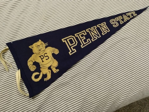 Penn State Nittany Lions Pennant, 11.25 x 29" Cover