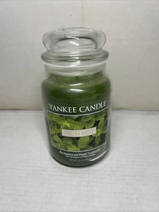 Yankee Candle Fresh Mint 22 oz Jar Scented Green Winter Color (NEW) - Picture 1 of 4