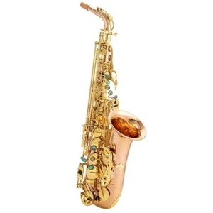 New yanagisawa W01 alto saxophone in Eb for Beginner Grading Professional - Picture 1 of 11