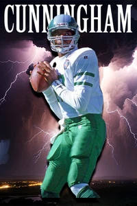 Randall Cunningham Lightning Retro Meme Vinilo Personalizado Troquelado Pegatina 3.5x2.5 - Imagen 1 de 1