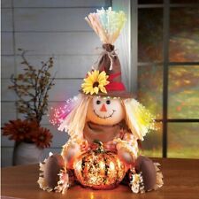   Fiber Optic Scarecrow w/ Pumpkin Thanksgiving Tabletop Centerpiece