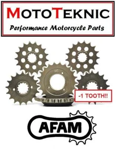 AFAM -1 diente 14T piñón delantero Ducati 796 Hypermotard 10-12 - Imagen 1 de 1