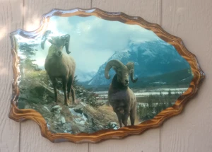 Arrow Shaped Wall Plaque Mountain Rams Cabin/Lodge Decor Large 15in x 21 1/2in - Picture 1 of 4