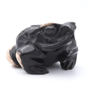 160mm Frog Hand Carved Gemstone Natural Fossilised Wood Healing Crystal Genuine - Picture 1 of 7