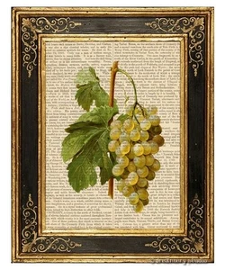 White Grapes Art Print on Vintage Book Page Home Kitchen Wine Room Decor Gifts - Picture 1 of 3