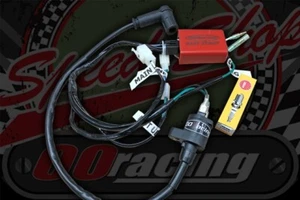 Rojo EFI conversion to CDI, ignition only, 50cc & 125cc skyteam Monkey bike - Picture 1 of 1
