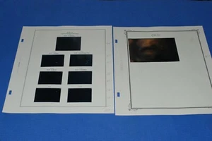 Ohio Duck Hunting Scott National Album Pages BlueLakeStamps GET YOUR STATE! - Picture 1 of 4