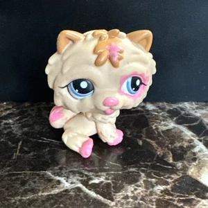 Littlest Pet Shop hellbrauner und rosa Chow Chow Hund #2304 - Bild 1 von 6