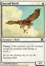 SUNTAIL HAWK FOIL 10th Edition MTG Magic the Gathering Cards DJMagic