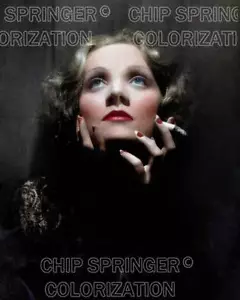 MARLENE DIETRICH IN THE SPOTLIGHT BEAUTIFUL COLOR PHOTO BY CHIP SPRINGER - Picture 1 of 1