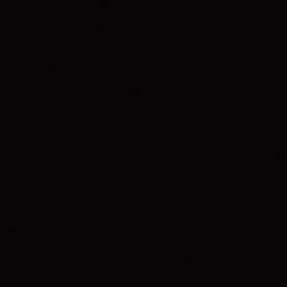 RILEY BLACK ~ SOLID Confetti Cotton ~ by Riley Blake ~ Quilting Fabric - Image 1 of 1